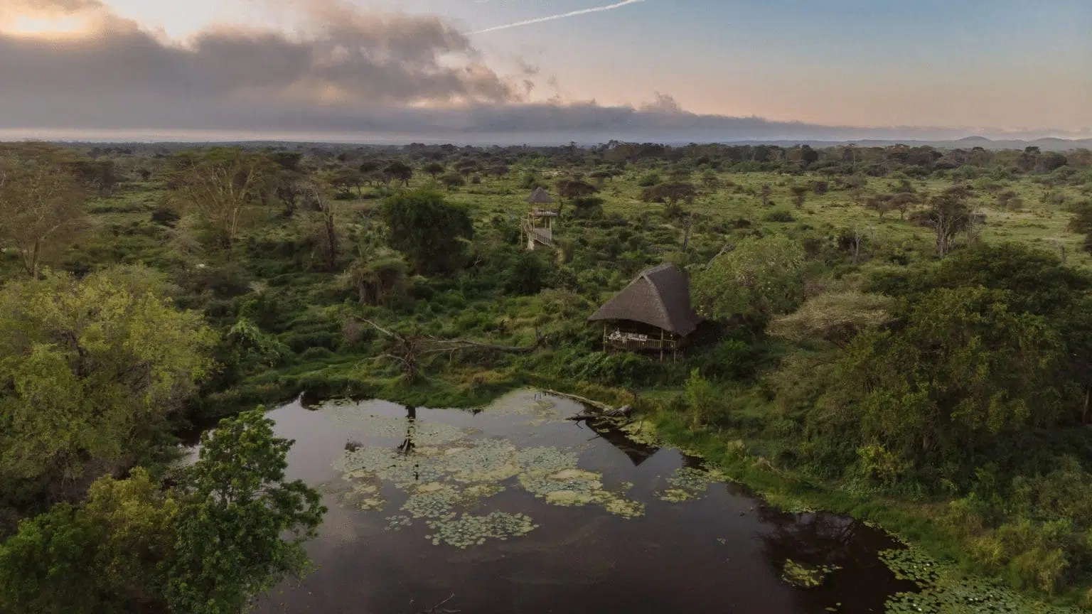 Caminata del Kilimanjaro