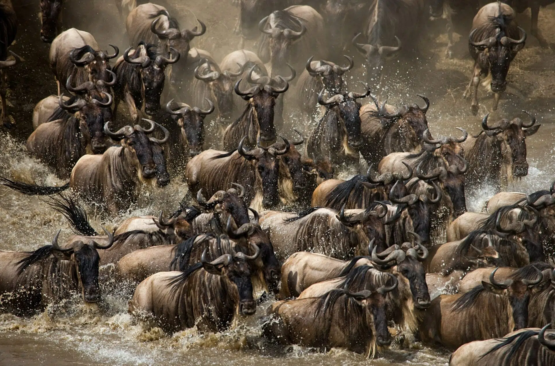 Safari Fotográfico en Kenia y Tanzania