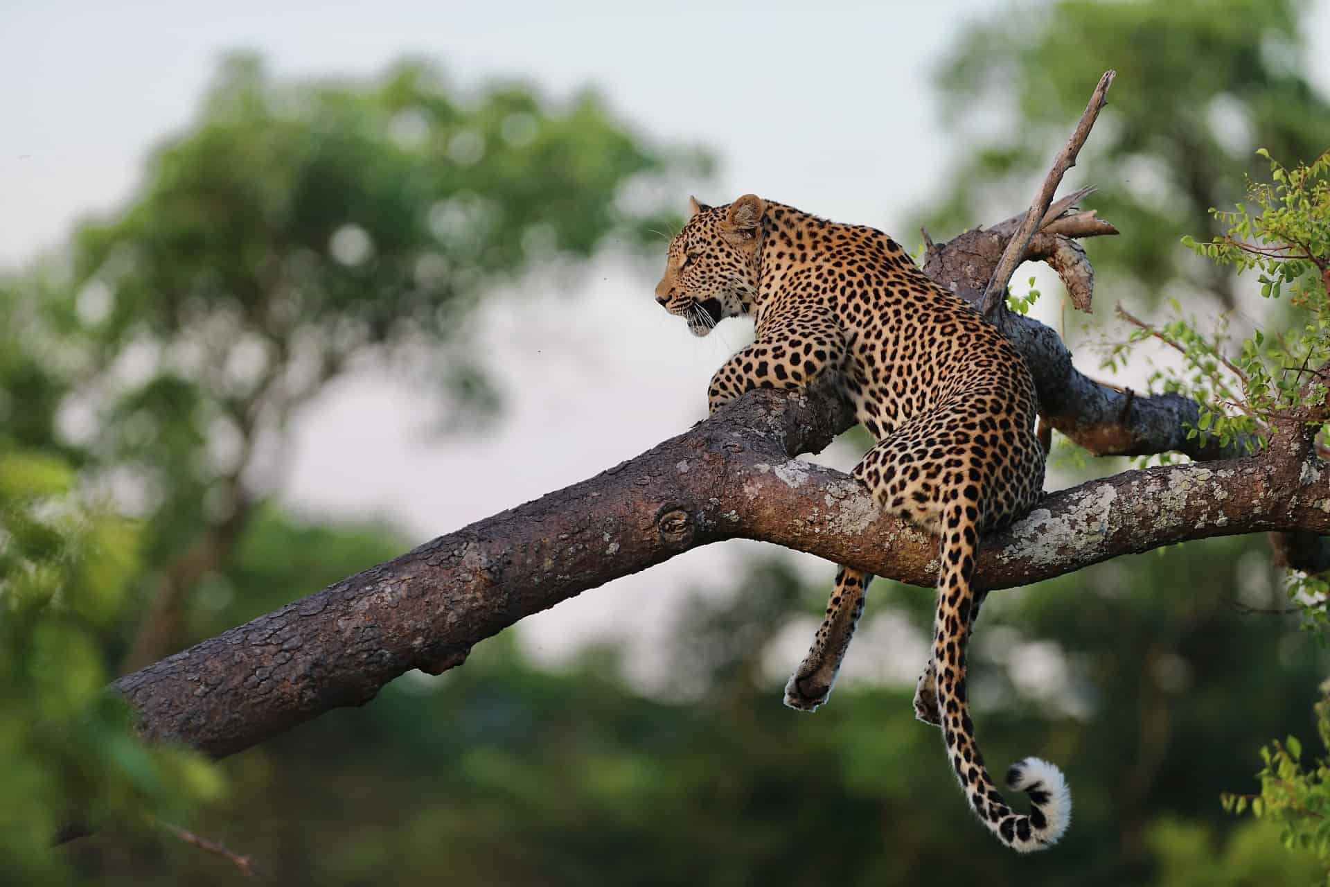 Lo mejor de Sudáfrica