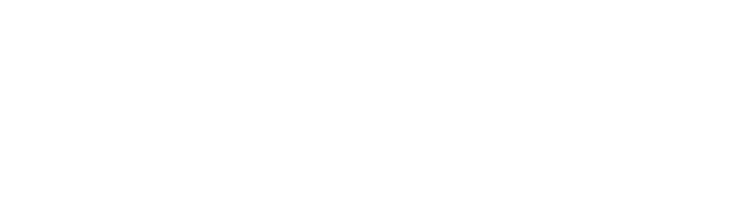 Logo-praan-blanco-letras