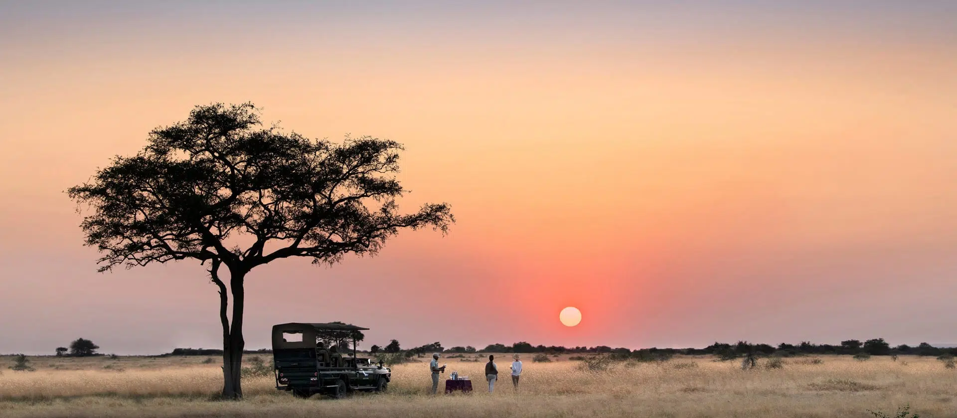 Sólo Tanzania 