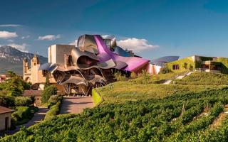España – Ruta del Vino