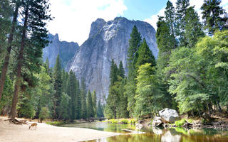 Norte de California - Yosemite